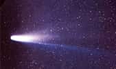 Une photo de la Comète 1P/Halley prise le 8 mars 1986 par W. Liller, île de Pâques. © NASA, W. Liller